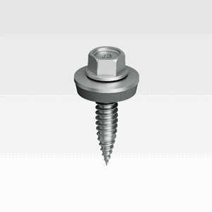 RAULI screw Ejofast 2,5x25 stainless steel